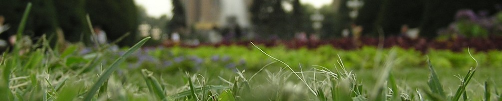 Forumul Naţional ONG - ediţia a VIII-a, Bucureşti